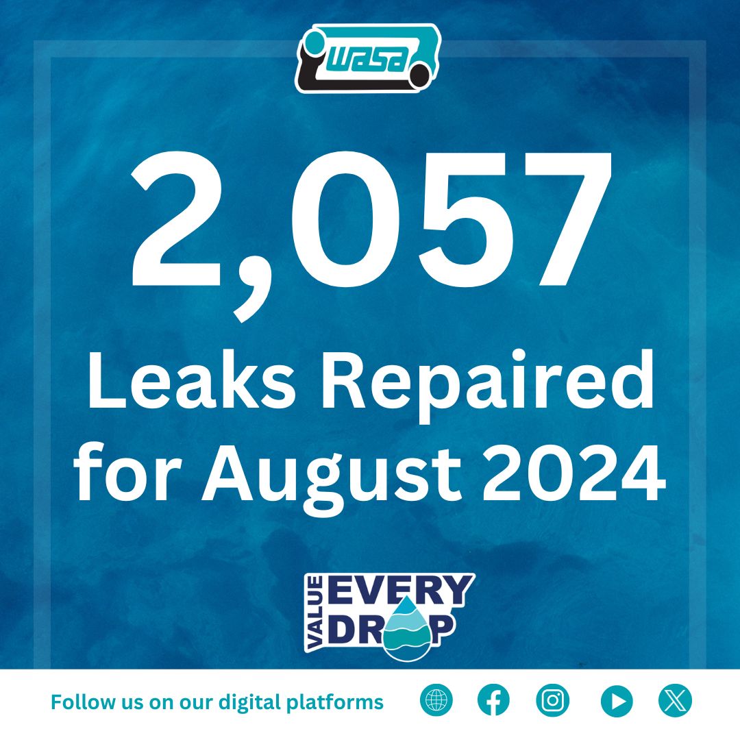 WASA Leak Report - August 2024 link image